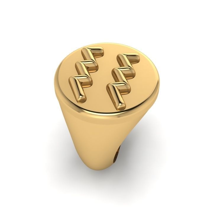 Zodiac sign ring Aquarius 3D print model_6