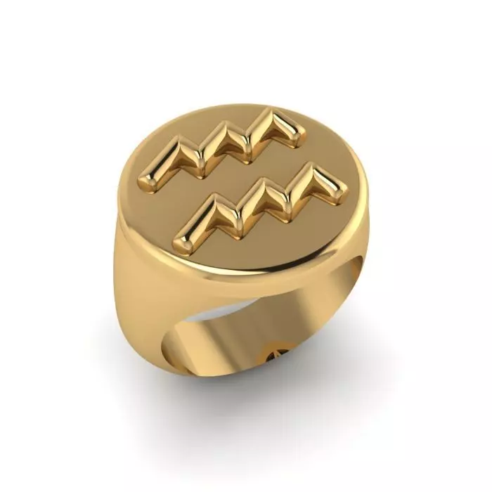 Zodiac sign ring Aquarius 3D print model_0