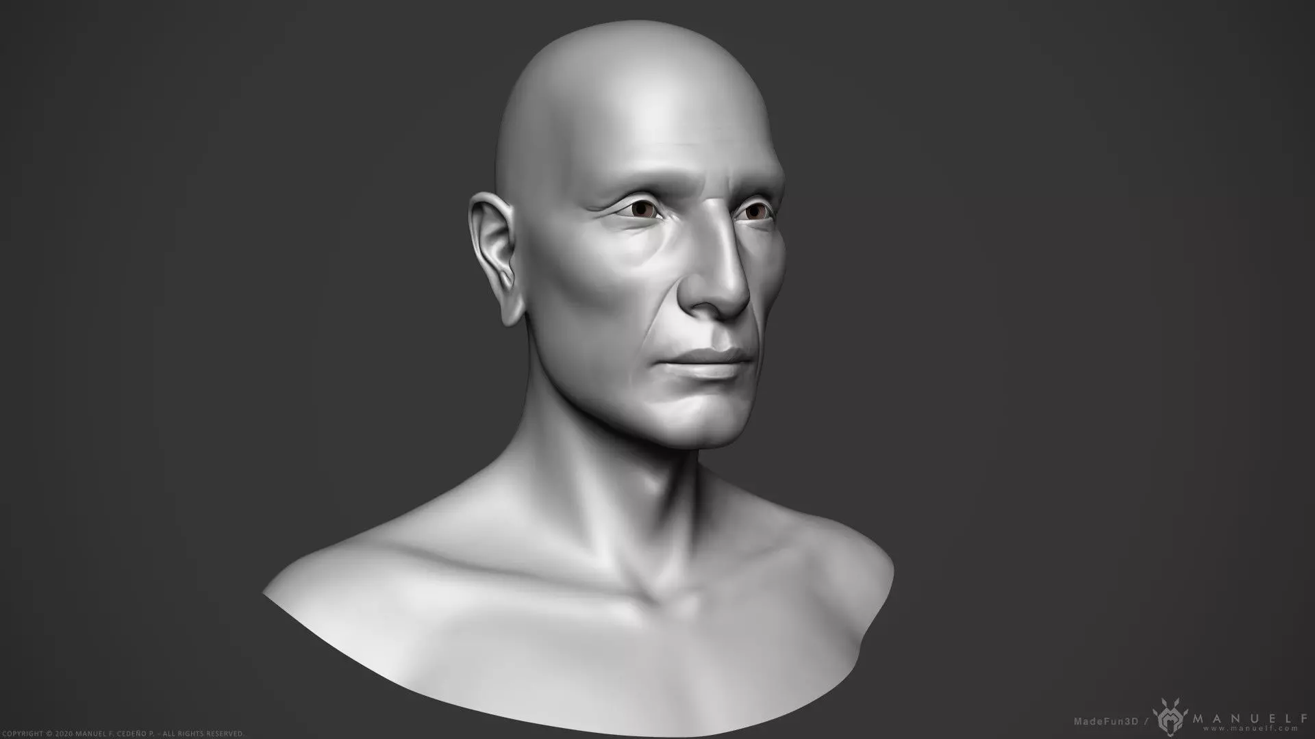 Male Native American - Character Bust 3D model