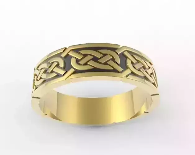 plaiting ring 3D print model