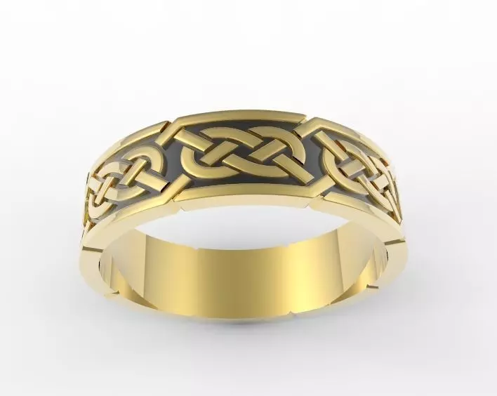 plaiting ring 3D print model