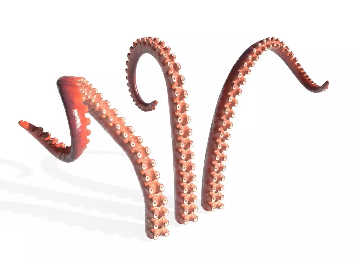 Kraken Octopus Tentacle Rigged Low-poly 3D model_0