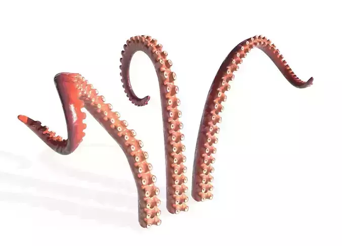 Kraken Octopus Tentacle Rigged Low-poly 3D model