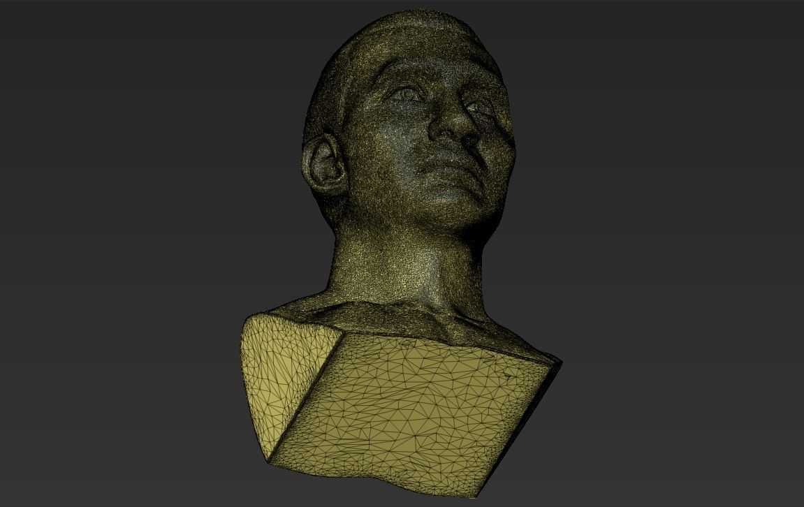Wladimir Klitschko bust 3D printing ready stl obj formats 3D print model_26