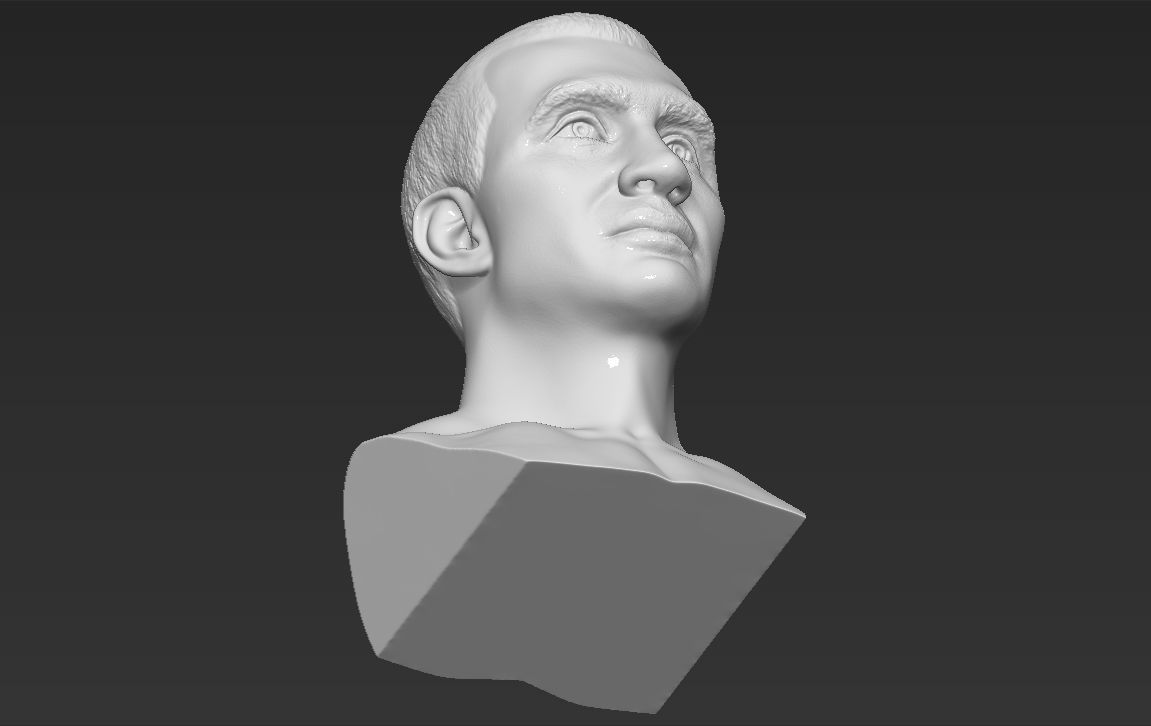 Wladimir Klitschko bust 3D printing ready stl obj formats 3D print model_20