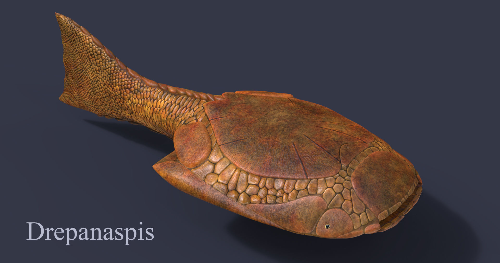 Extinct animals pack v6 Low-poly 3D model_45