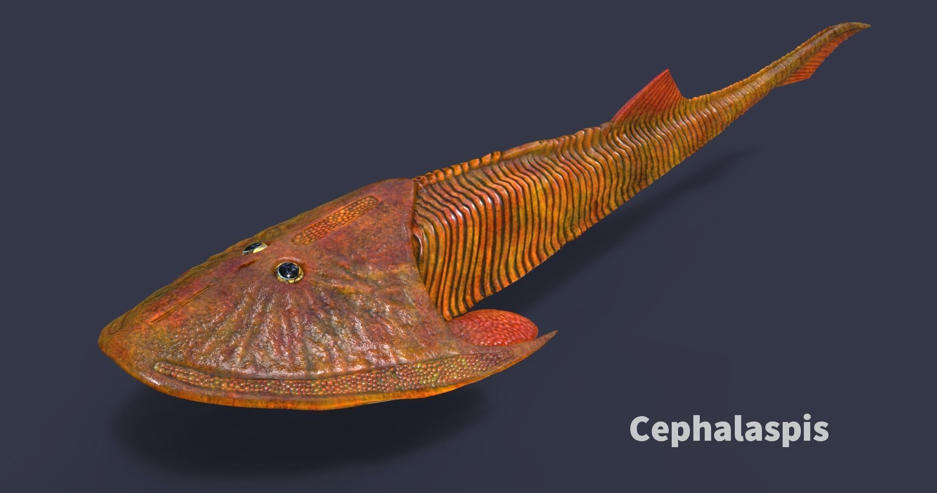 Extinct animals pack v6 Low-poly 3D model_76