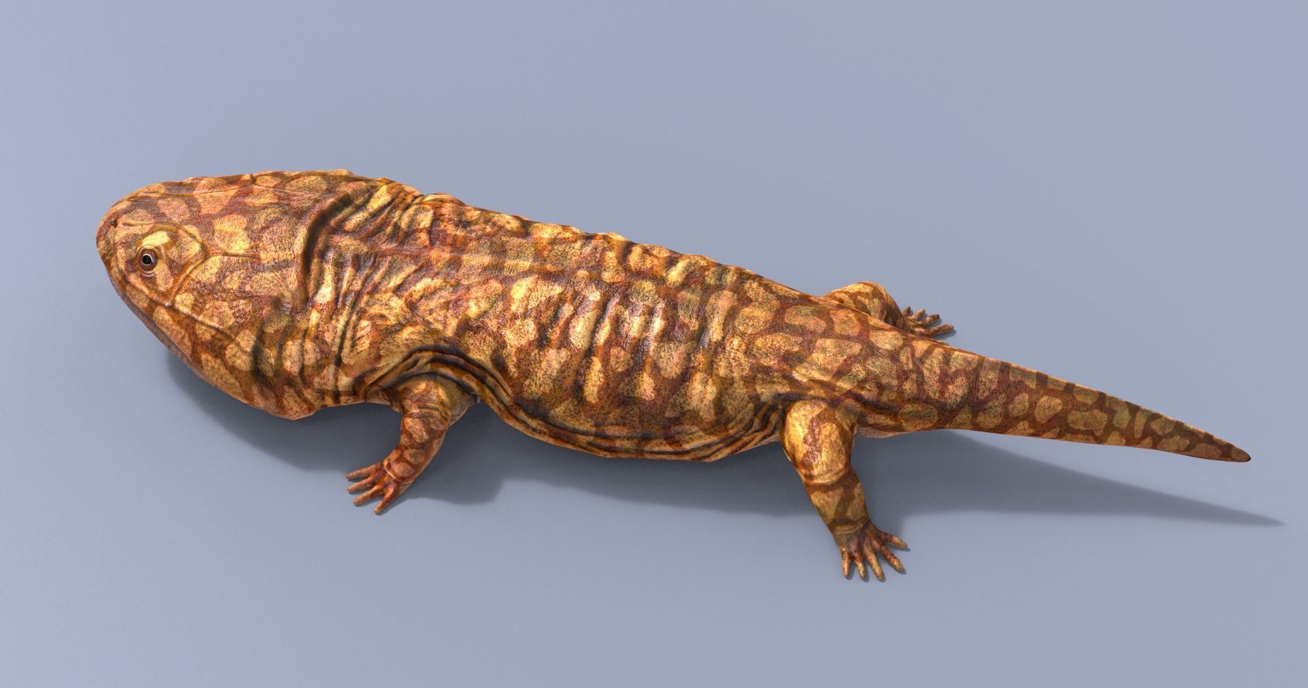 Extinct animals pack v6 Low-poly 3D model_110