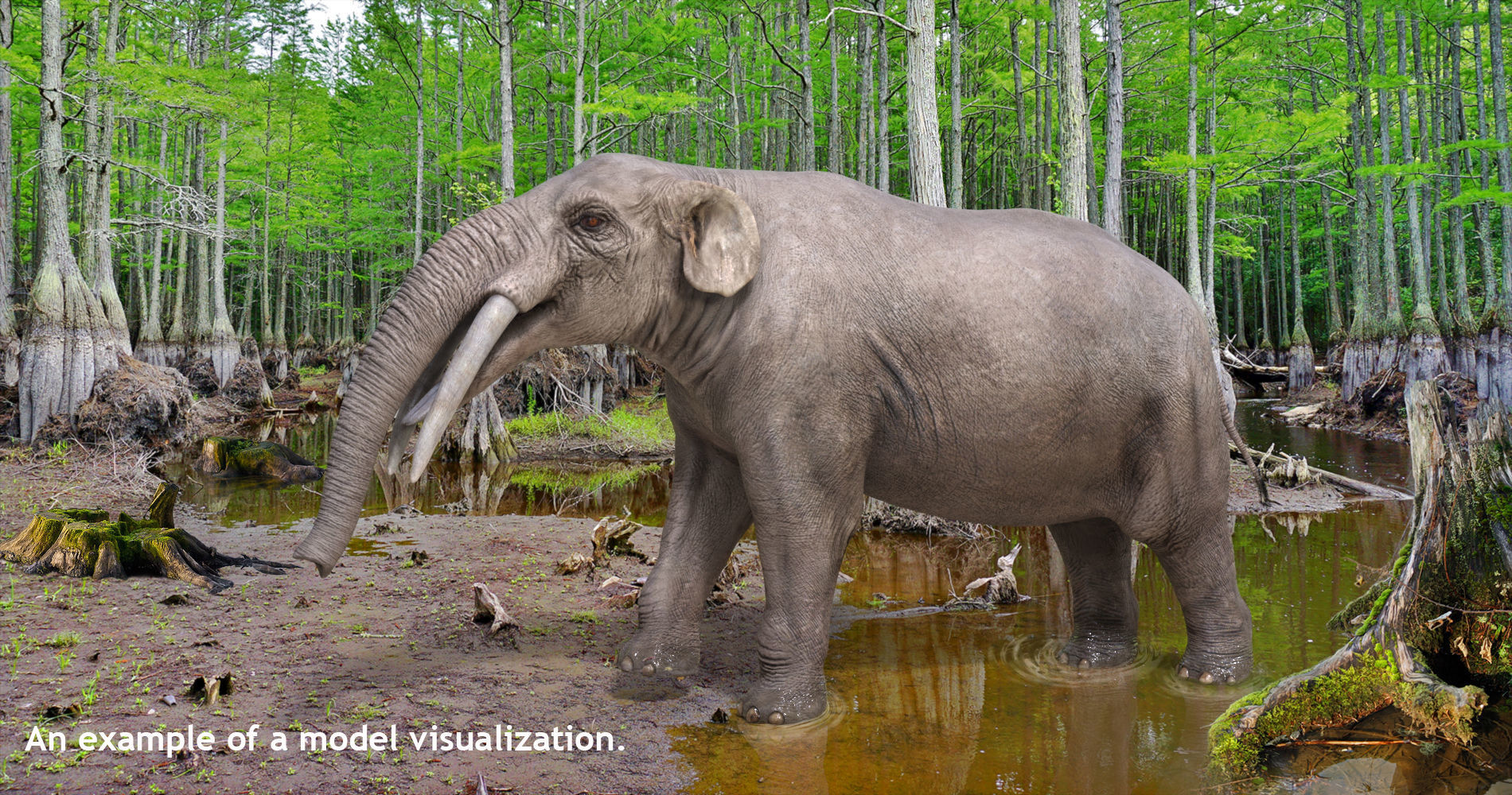 Extinct animals pack v6 Low-poly 3D model_21