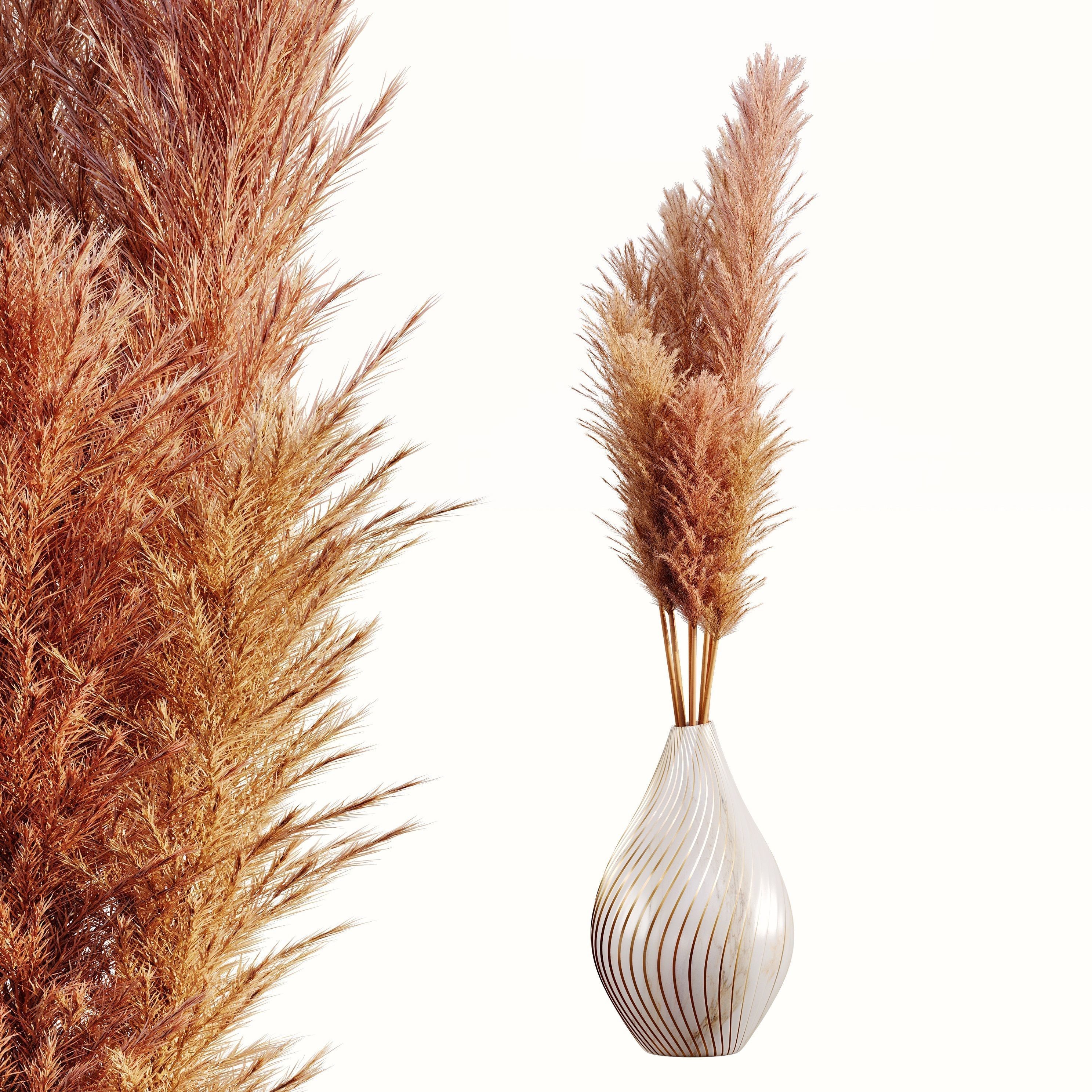 Pampas bouquet flower 3D model_0