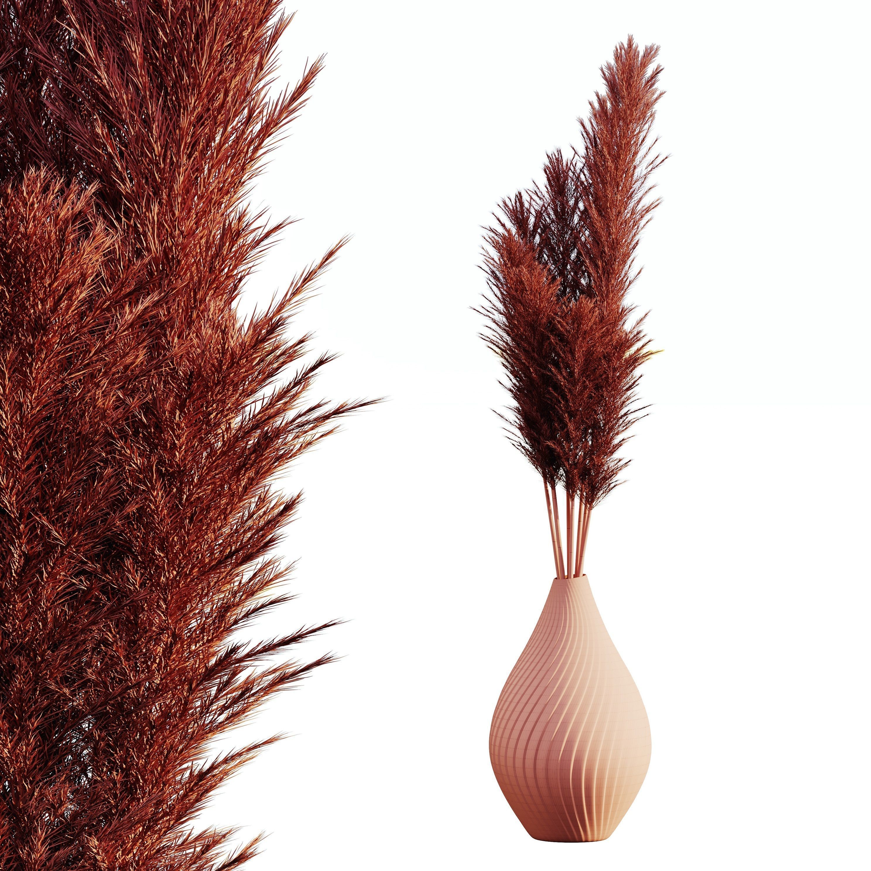 Pampas bouquet flower 3D model_4