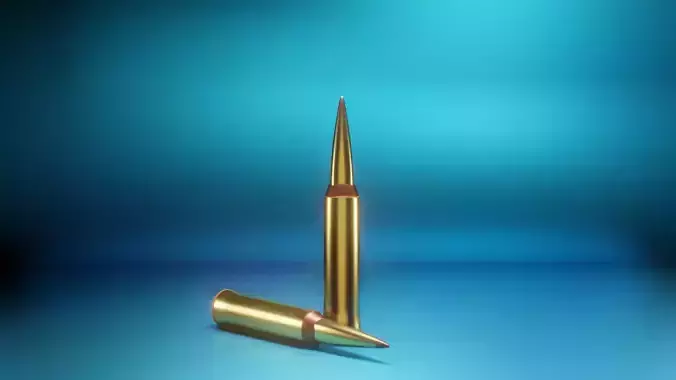 3d model two bullets