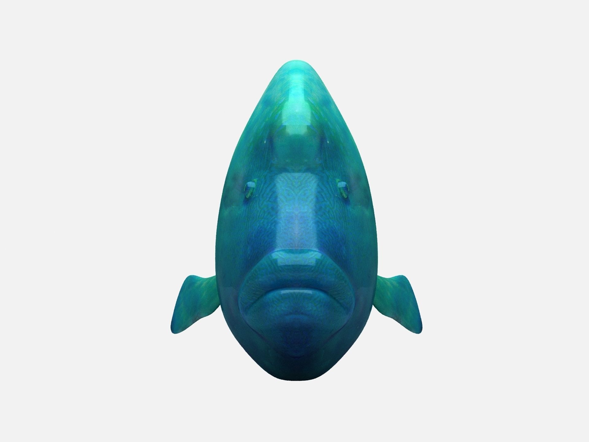 Humphead Wrasse Fish Low-poly 3D model_6