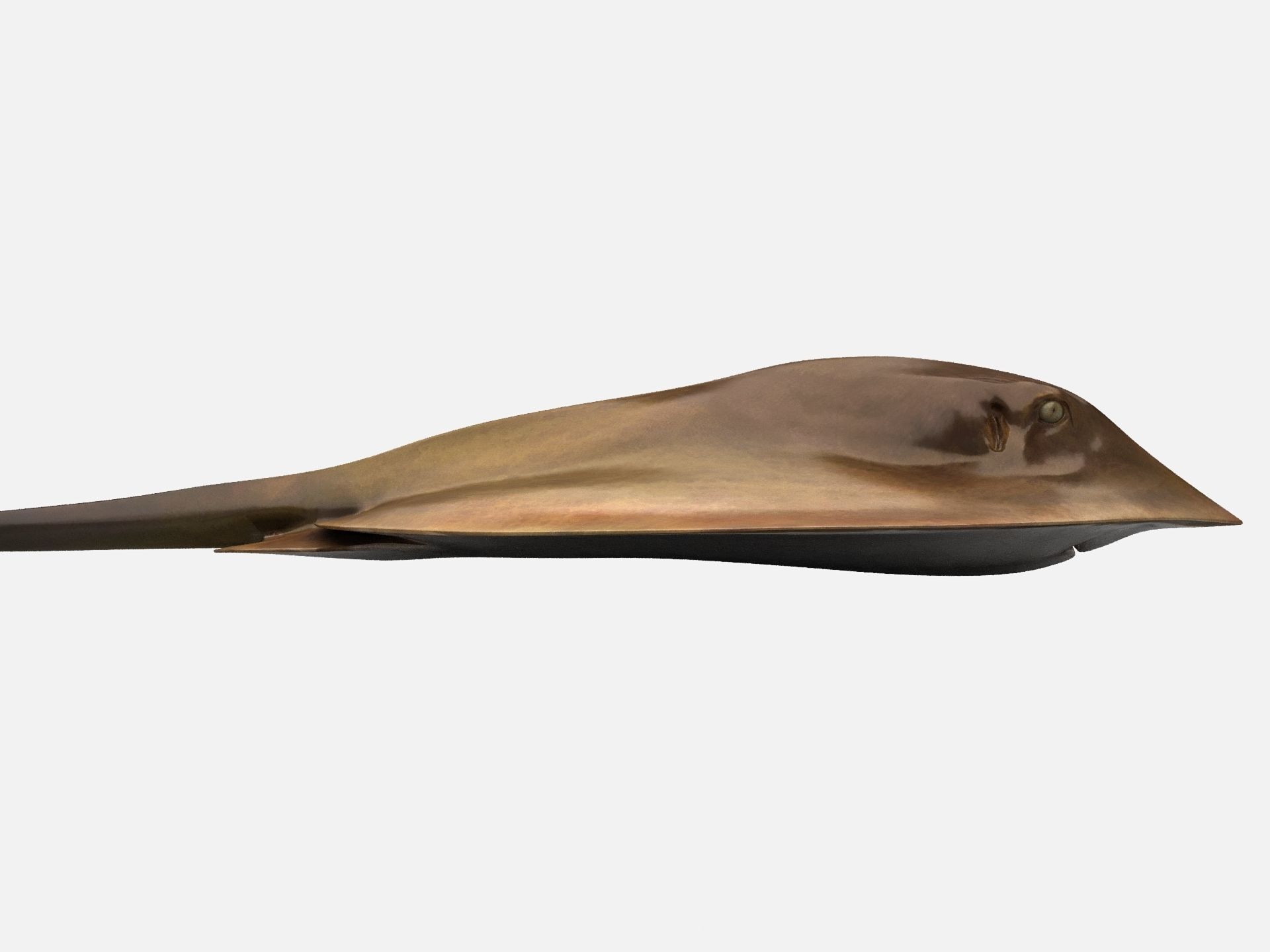 Mobula Devil rays Flying rays Manta Low-poly 3D model_6