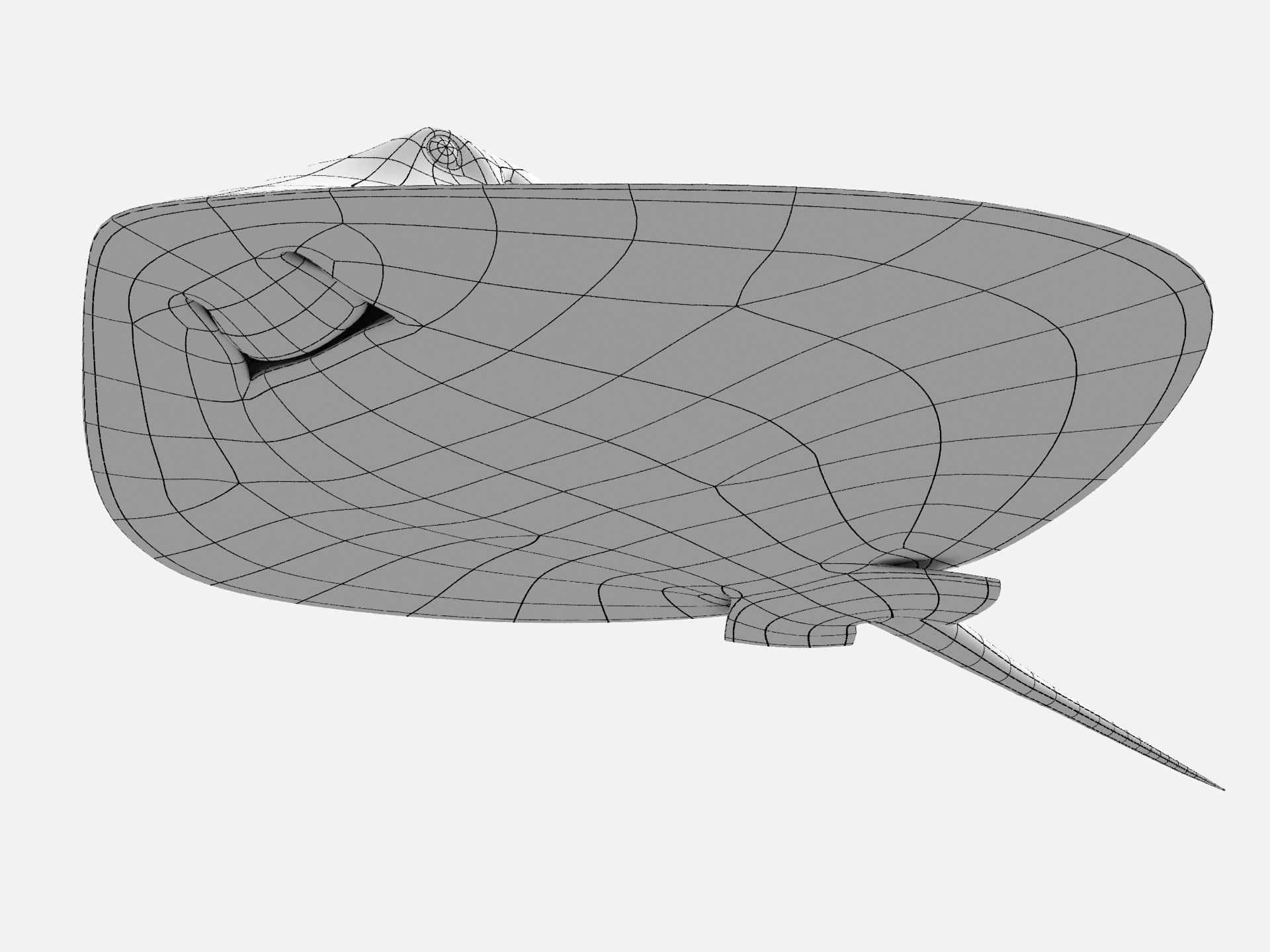 Mobula Devil rays Flying rays Manta Low-poly 3D model_1