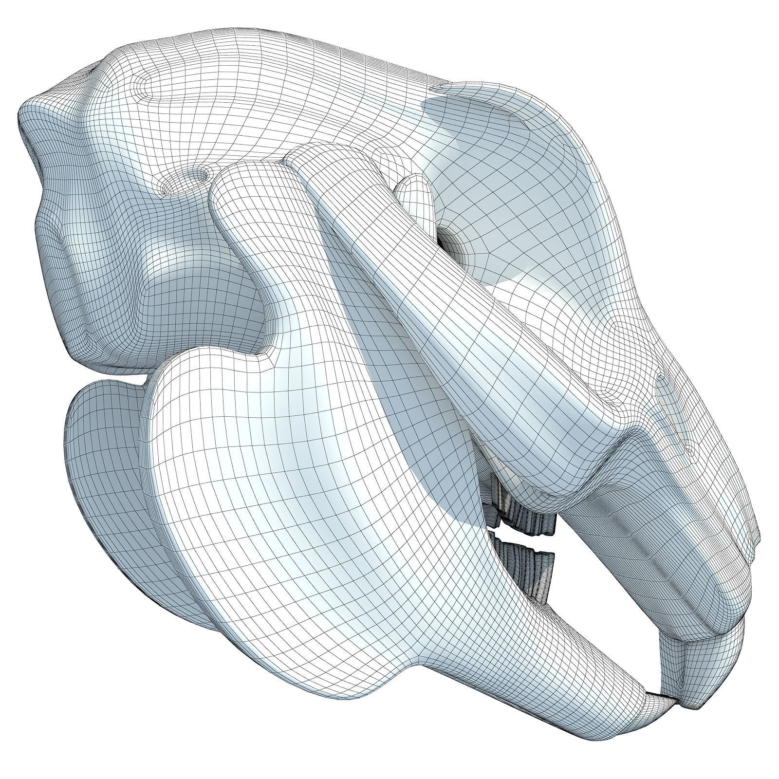 Rabbit Skull 3D model_8