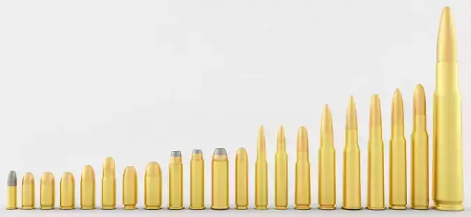 The Pistol and Rifle Cartridge Collection 