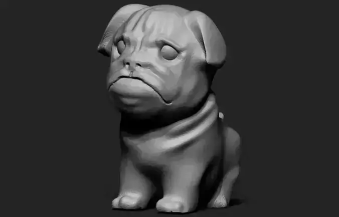 Pug Dog