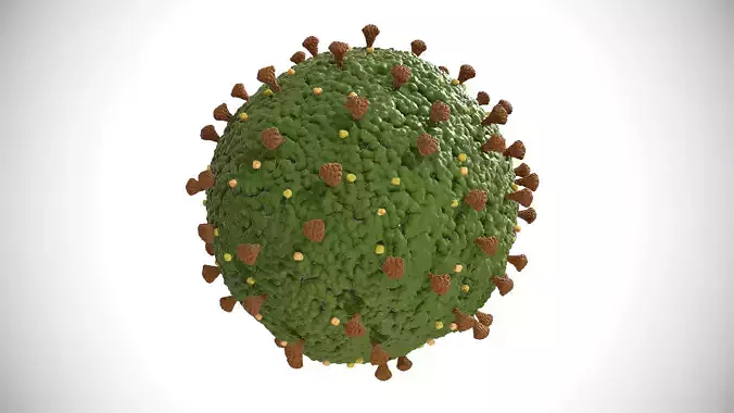 Covid-19 Virus 3D model