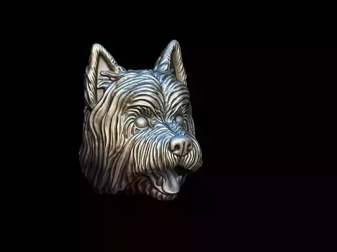 Dog West Highland White Terrier  head 