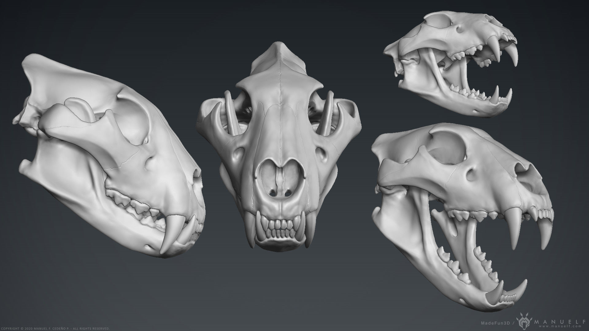 3D Lion Skull - Sculpture 3D model_2