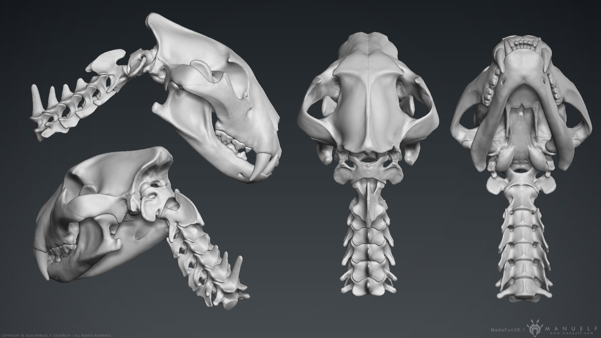 3D Lion Skull - Sculpture 3D model_5