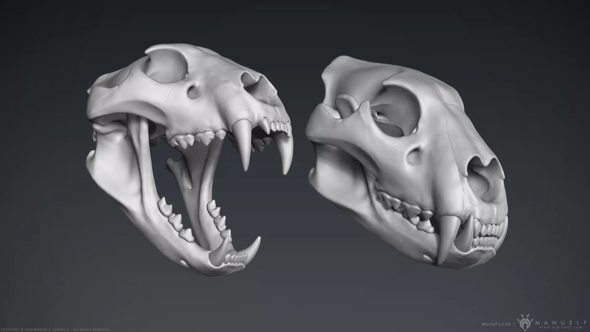 3D Lion Skull - Sculpture 3D model_0