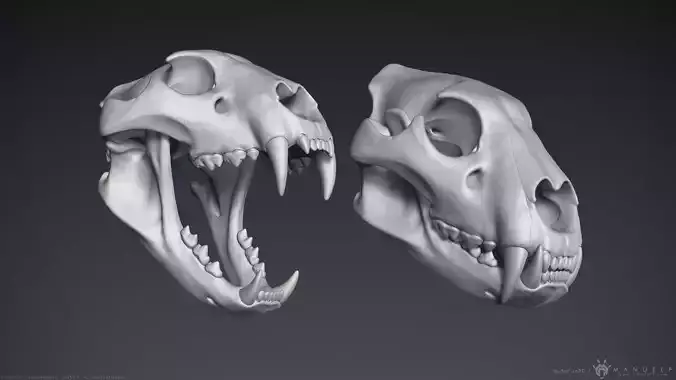 3D Lion Skull - Sculpture 3D model