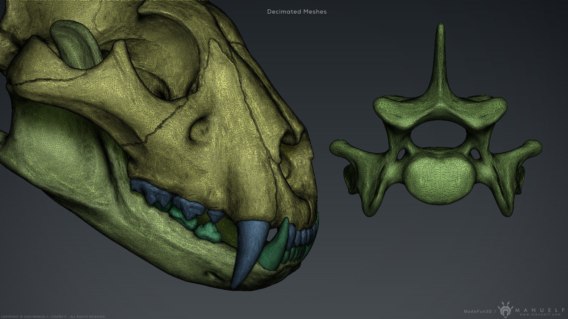 3D Lion Skull - Sculpture 3D model_12