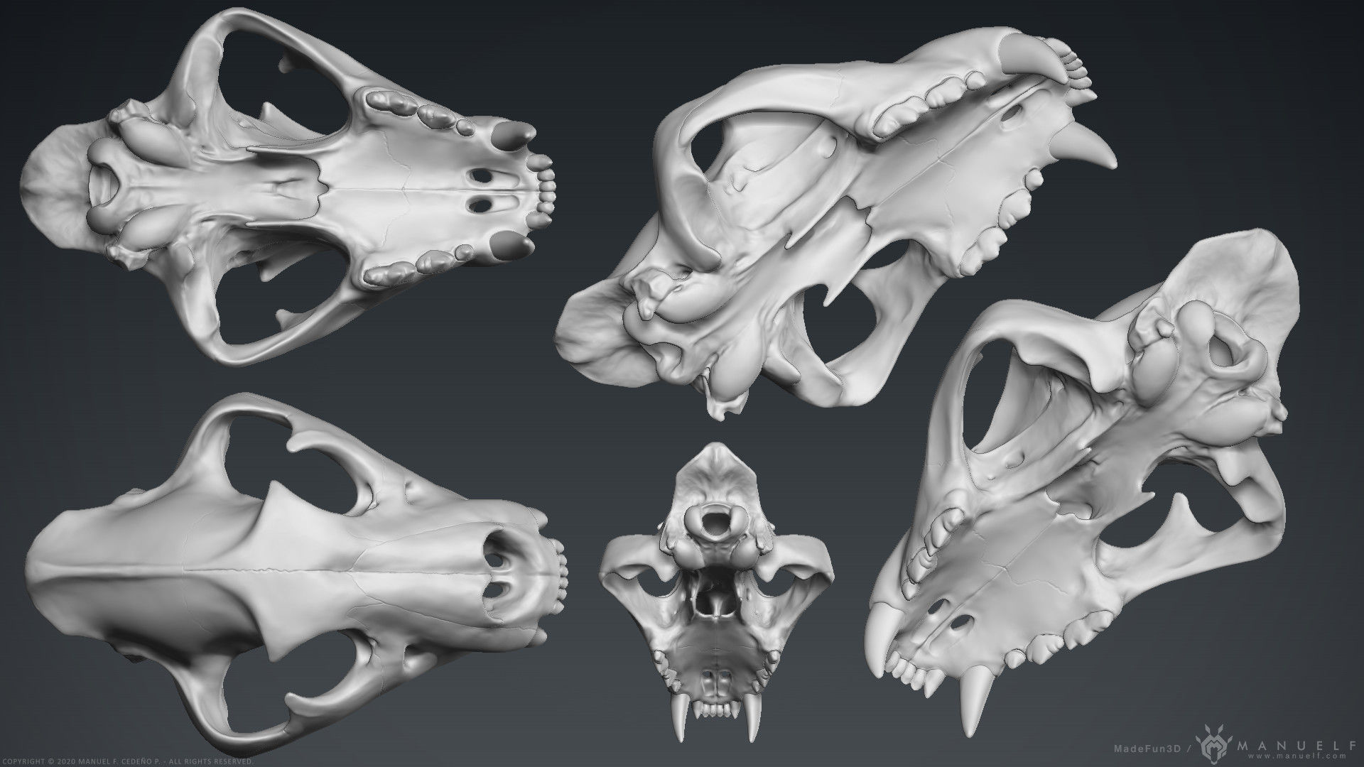 3D Lion Skull - Sculpture 3D model_7