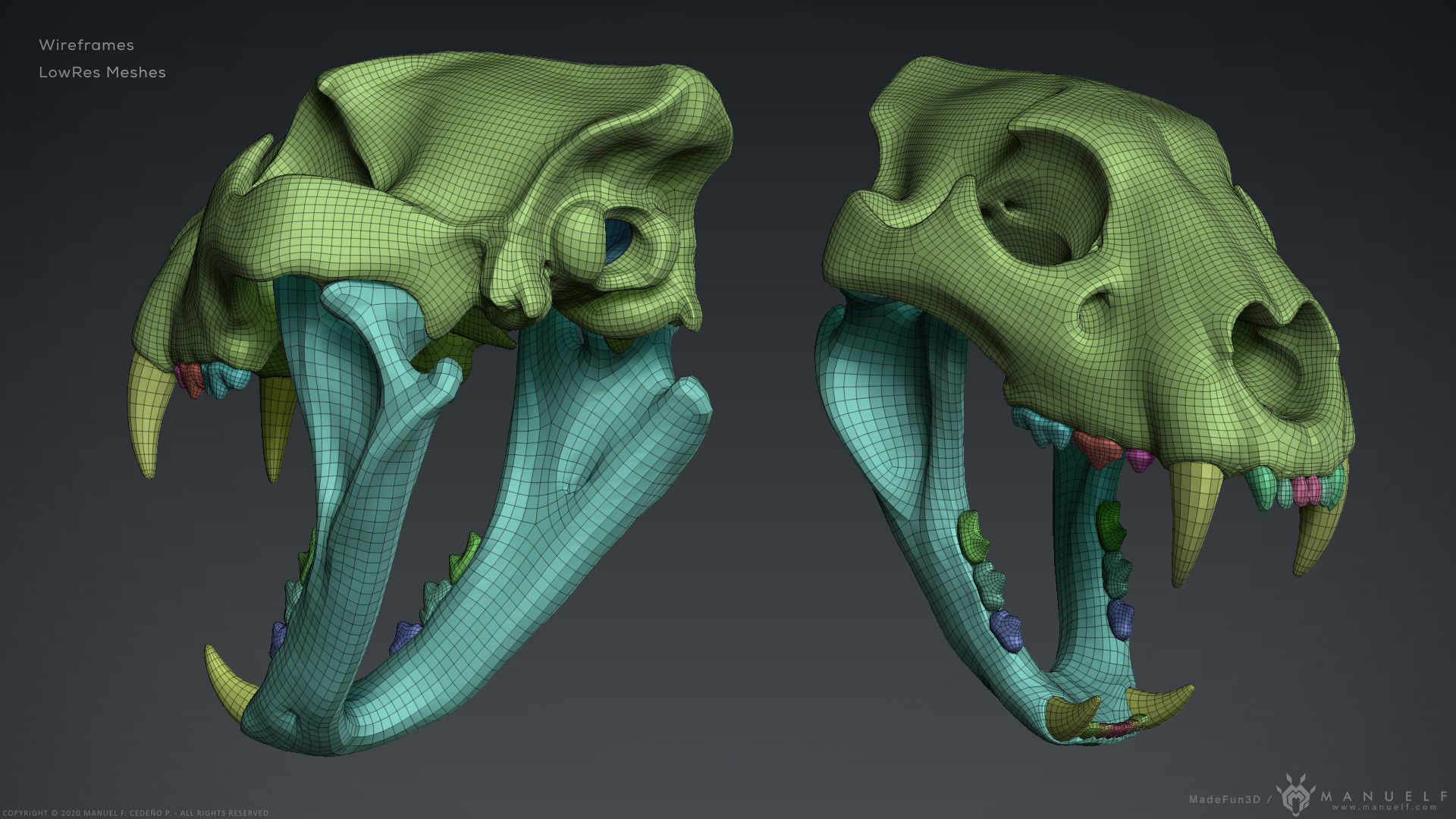 3D Lion Skull - Sculpture 3D model_10