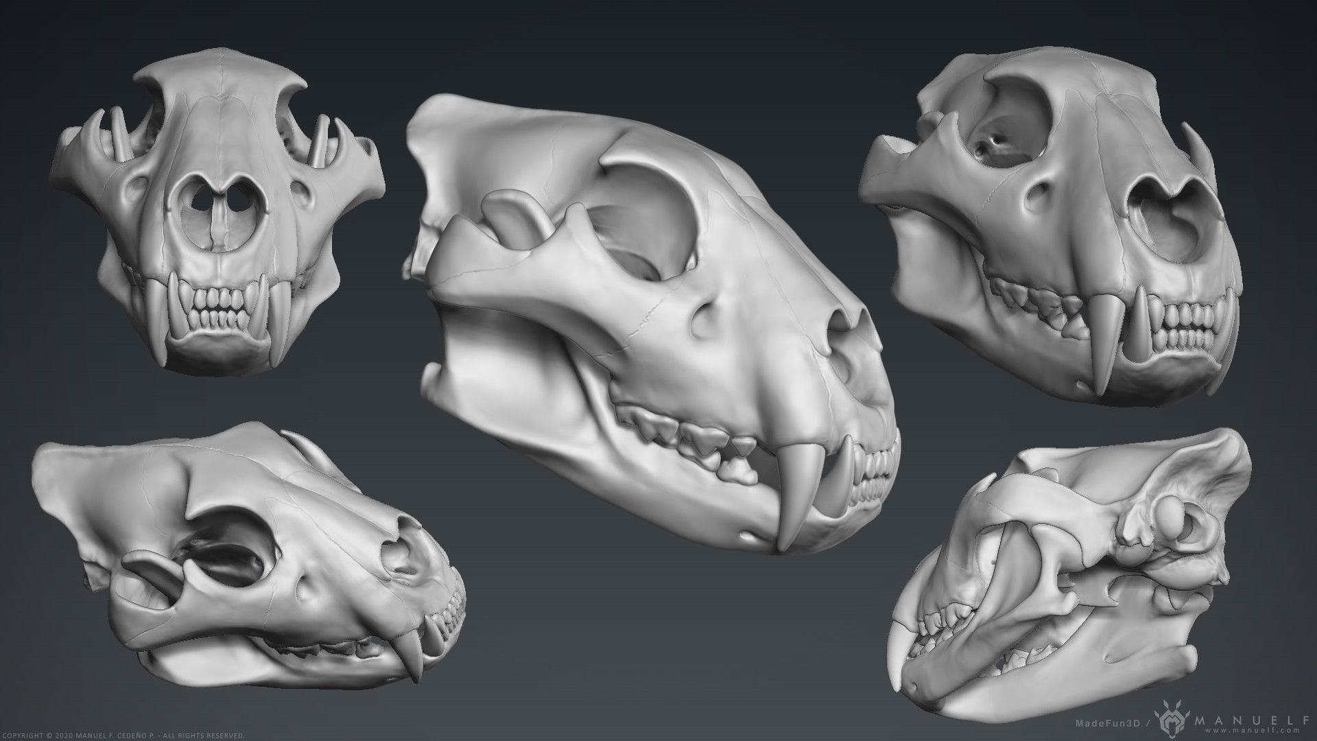3D Lion Skull - Sculpture 3D model_1