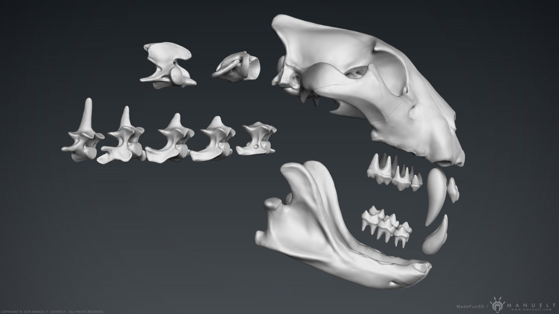 3D Lion Skull - Sculpture 3D model_8
