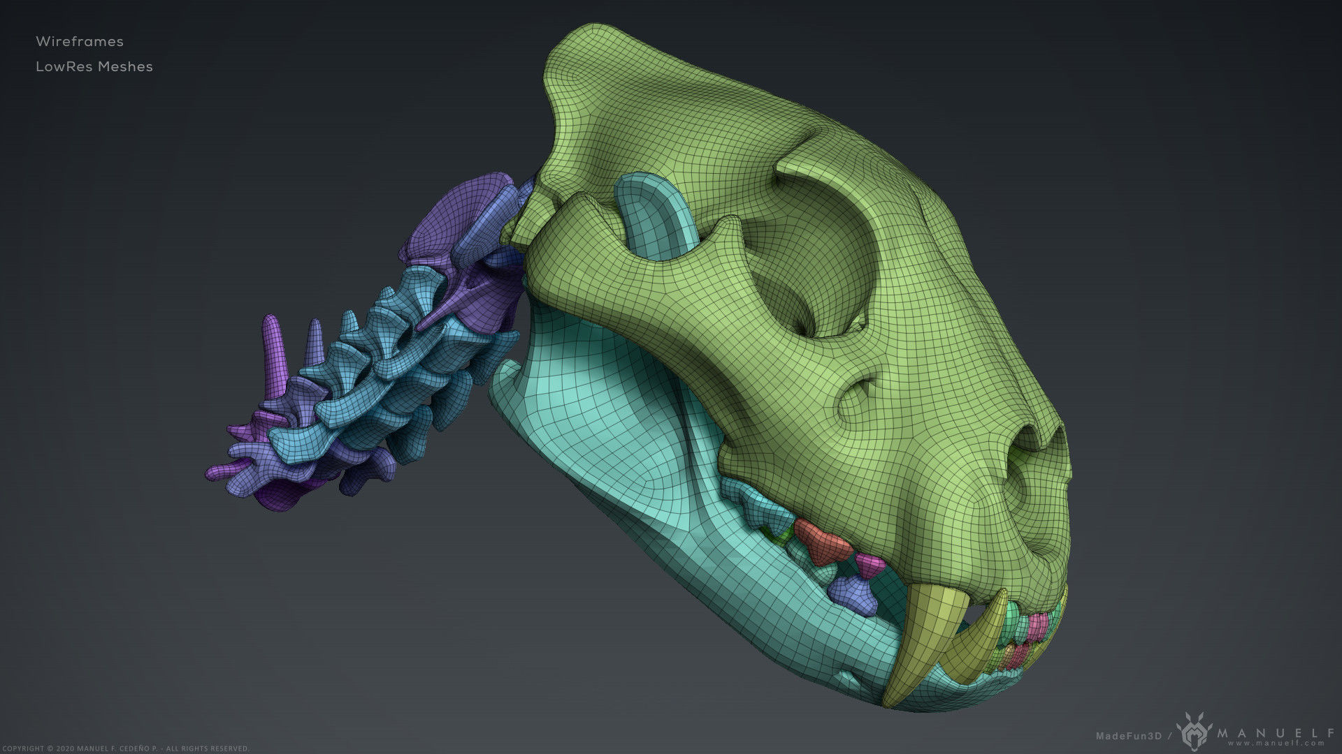 3D Lion Skull - Sculpture 3D model_9