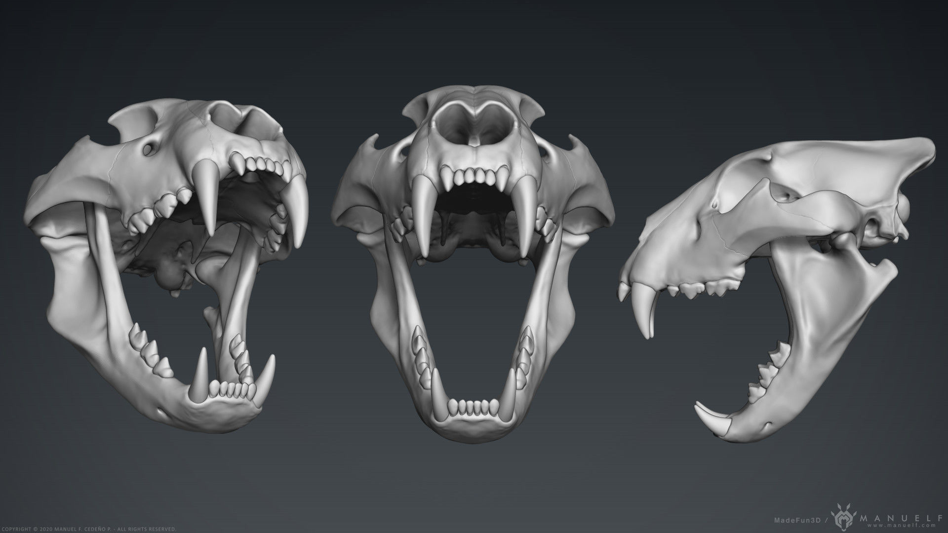3D Lion Skull - Sculpture 3D model_3