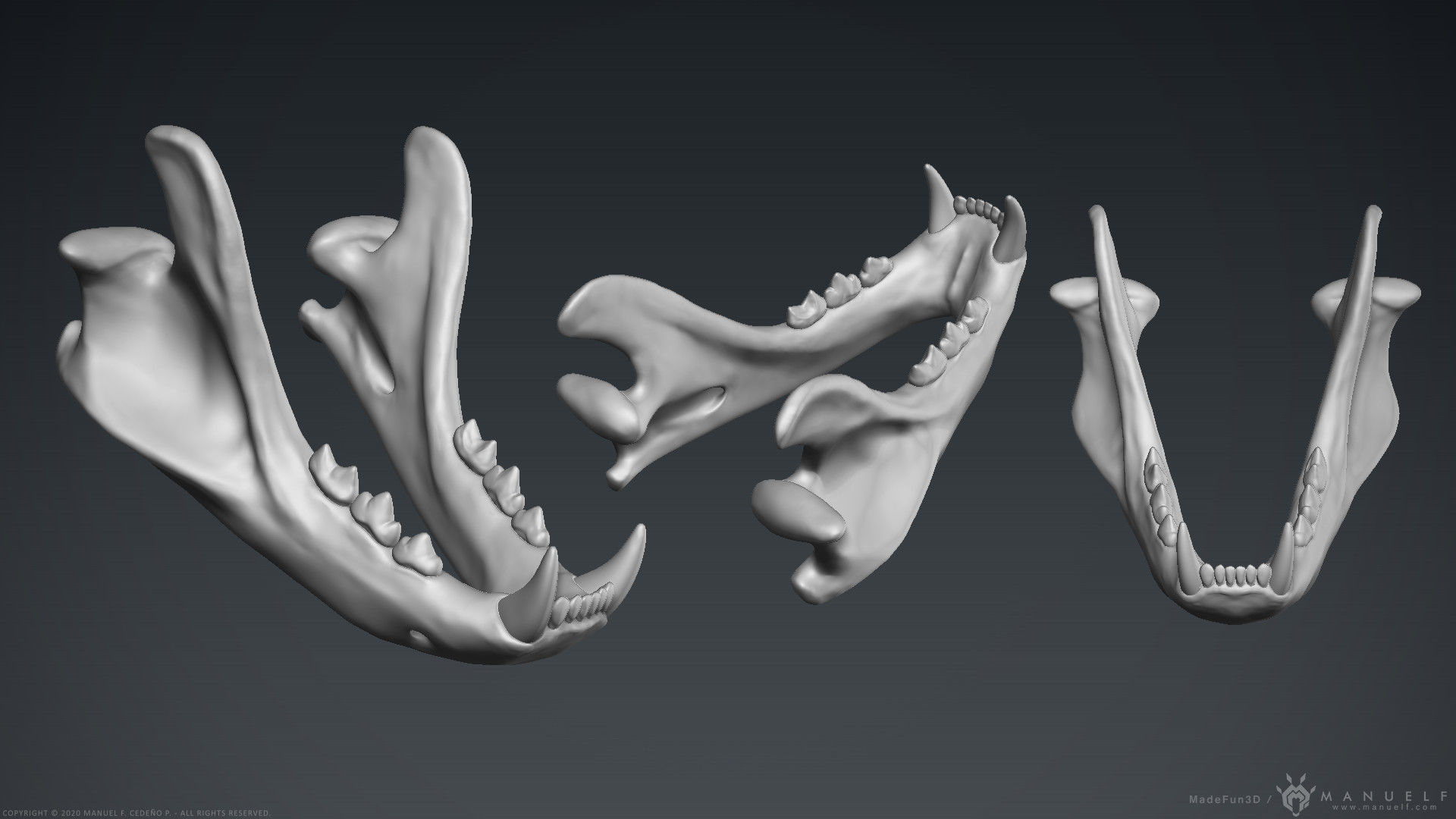 3D Lion Skull - Sculpture 3D model_4