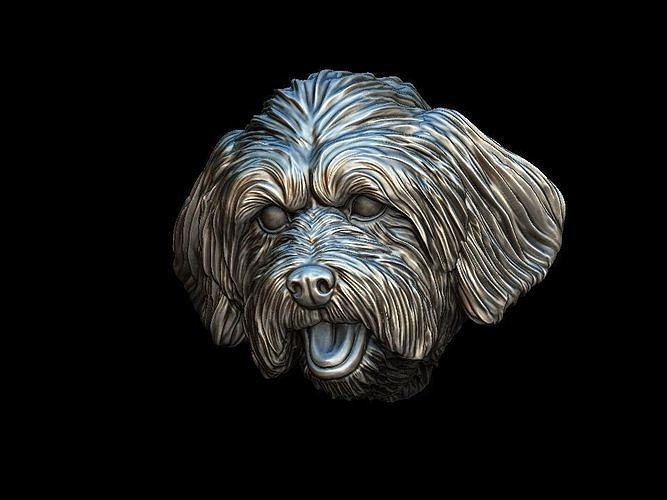 Lhasa Apso dog head  3D print model