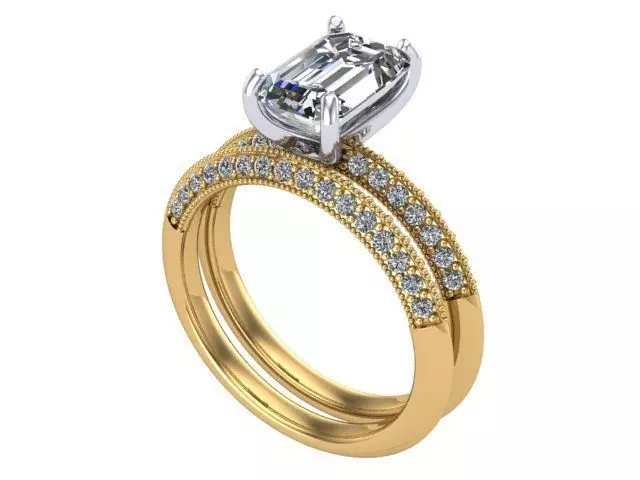 Double Ring  3D print model_0