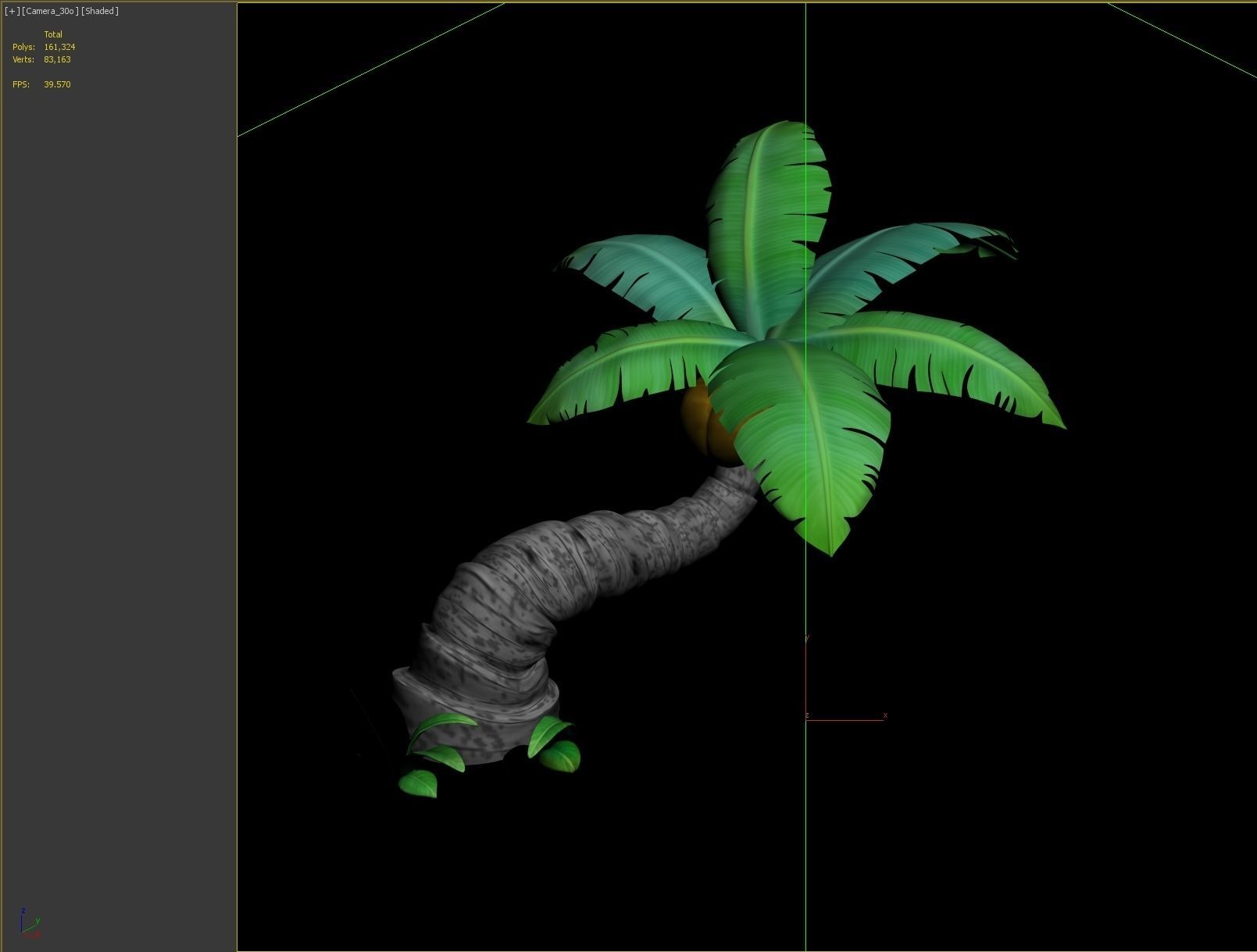 coconut tree 3D model_3