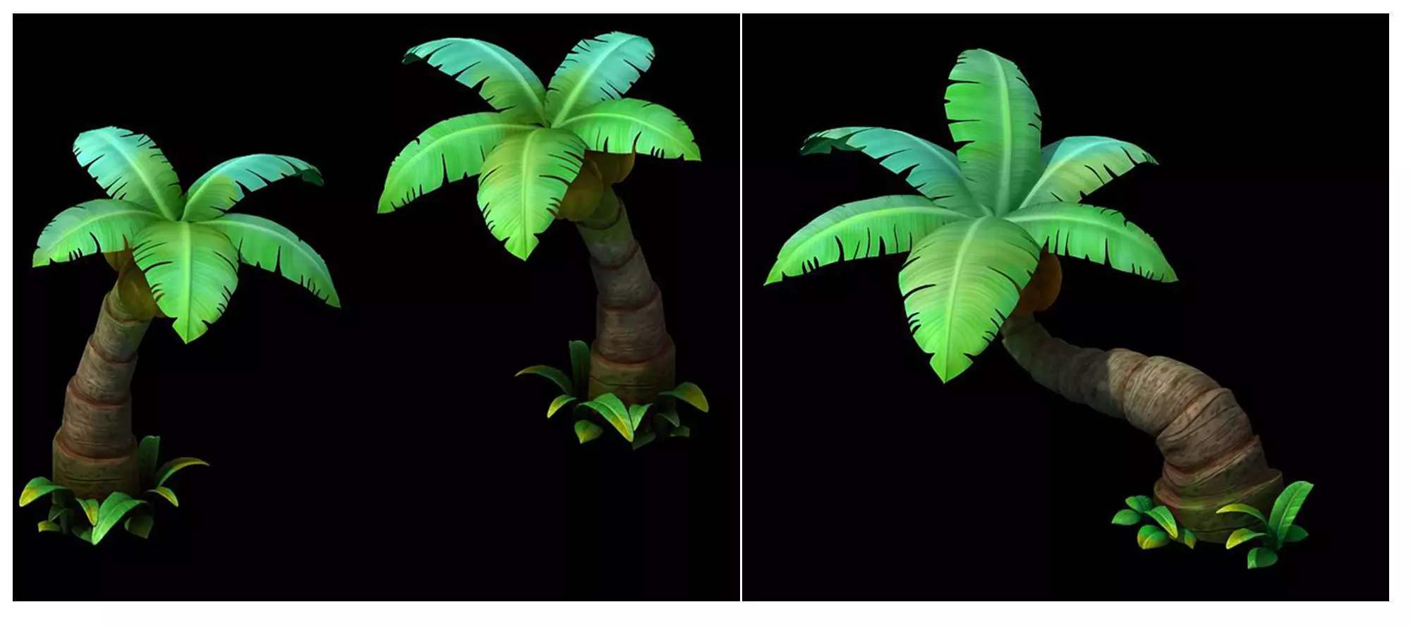 coconut tree 3D model_0