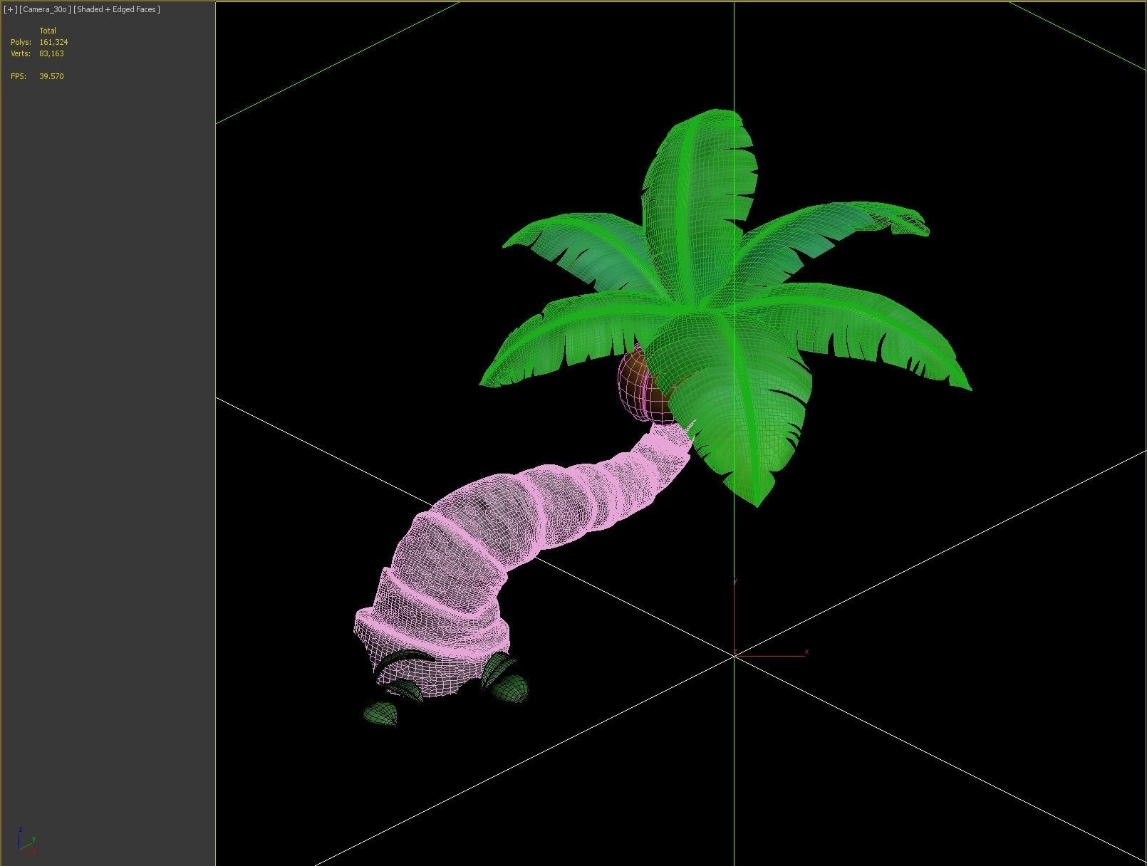 coconut tree 3D model_4
