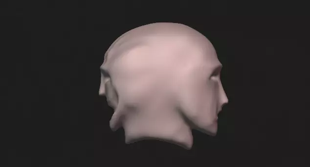 two head 3D model_0