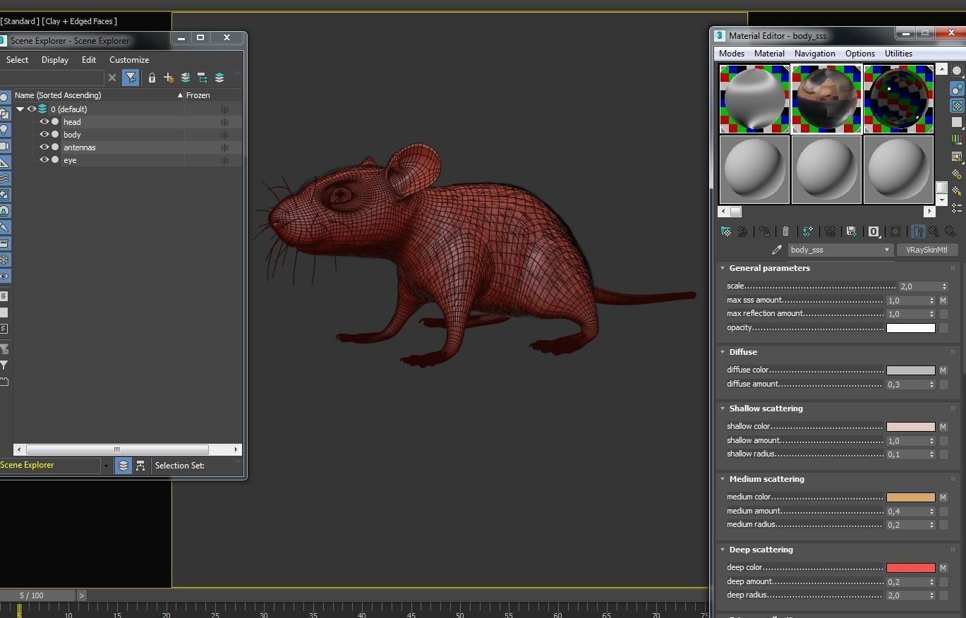 Animal Rat 3D model_20