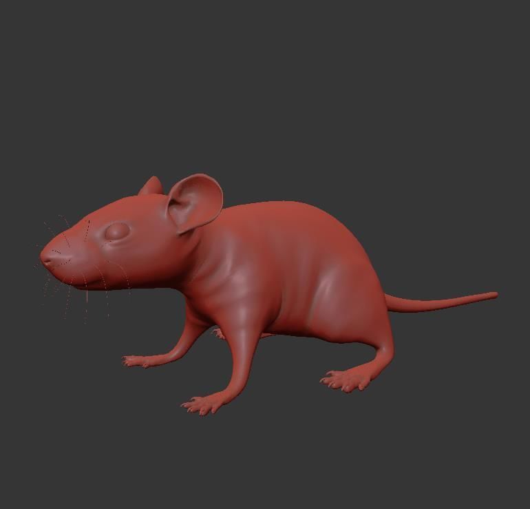 Animal Rat 3D model_18