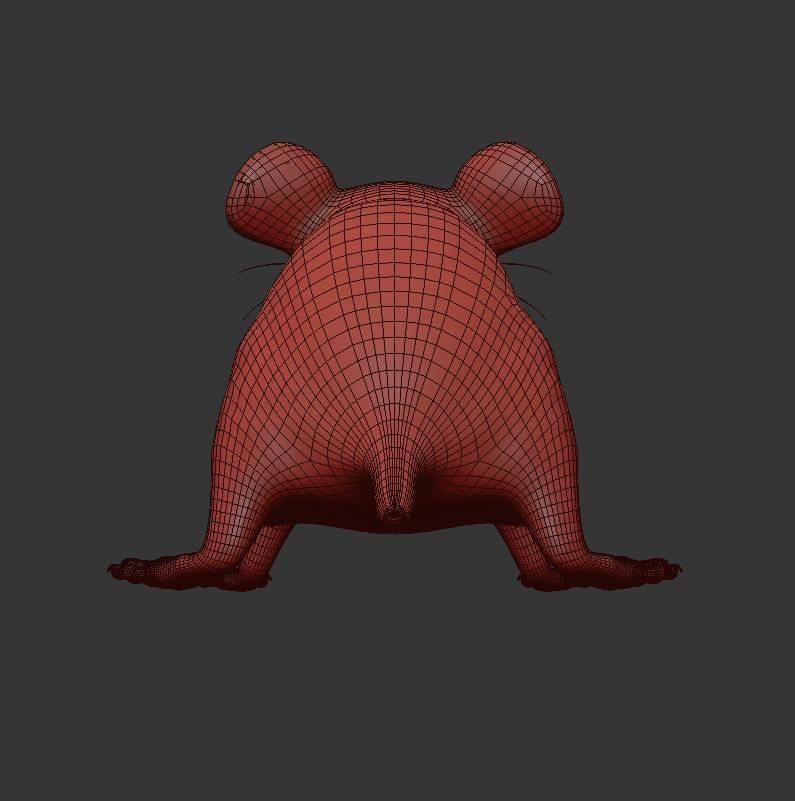 Animal Rat 3D model_14