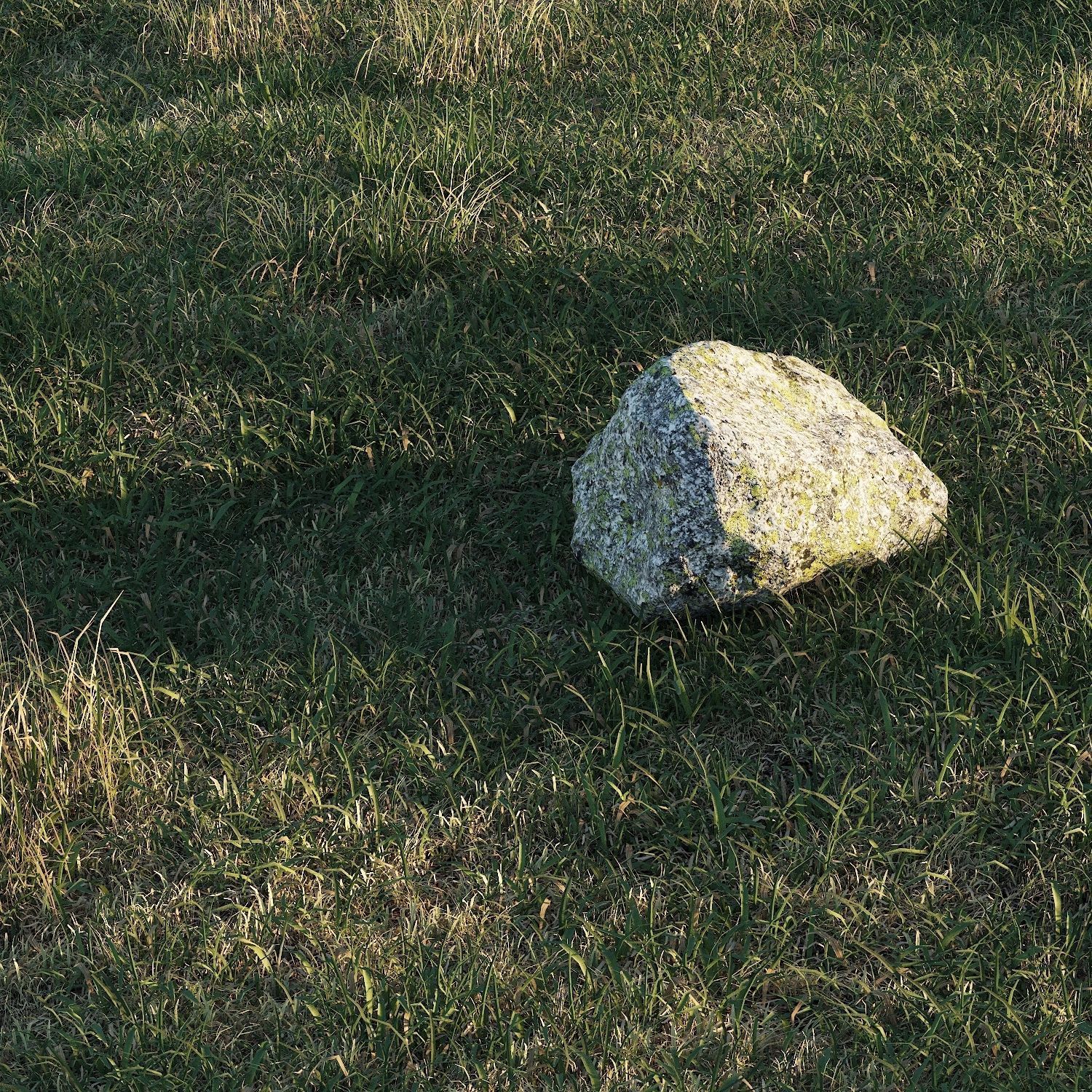 Meadow grass 3D model_7
