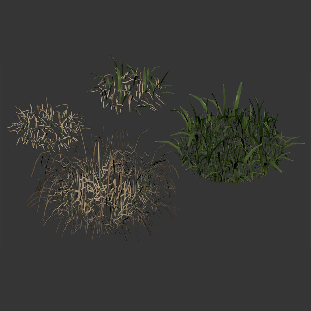 Meadow grass 3D model_10