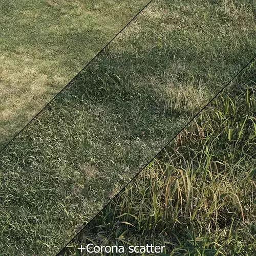 Meadow grass 3D model