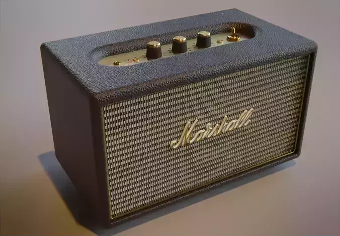 Marshall Acton Speaker