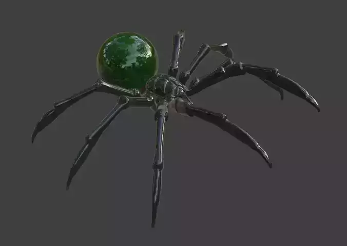 Spider Jewelry